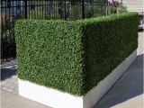 Artificial Hedges for Outdoors Artificial Outdoor Boxwood Hedge by Home Infatuation