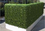 Artificial Hedges for Outdoors Outdoor Artificial Plants Outdoor Artificial Flowers Blog