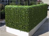 Artificial Hedges for Outdoors Outdoor Artificial Plants Outdoor Artificial Flowers Blog