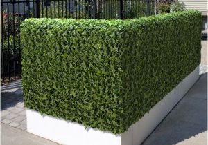 Artificial Hedges for Outdoors Outdoor Artificial Plants Outdoor Artificial Flowers Blog