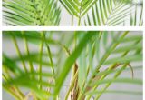 Artificial Palm Trees for Sale In Canada 90cm Artificial Palm Tree Green Leaf Plants Plastic Branch Tropical