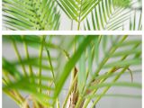 Artificial Palm Trees for Sale In Canada 90cm Artificial Palm Tree Green Leaf Plants Plastic Branch Tropical