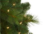 Artificial Palm Trees for Sale In Canada Foxtail Christmas Pine Tree Treetopia