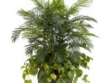 Artificial Palm Trees for Sale In Canada Nearly Natural 38 In H Green Boston Fern with Stand Silk Plant 6627