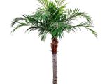 Artificial Palm Trees for Sale Near Me High Quality Artificial Majesty Palm 350cm Maxifleur Artificial Palmen