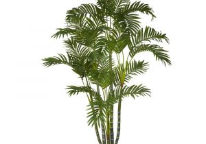 Artificial Palm Trees for Sale Near Me Nearly Natural 5 Ft Dracaena Silk Tree 5466 the Home Depot