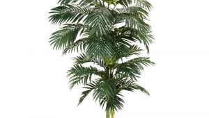 Artificial Palm Trees for Sale Near Me Nearly Natural 8 Ft Green Golden Cane Palm Silk Tree 5326 the