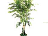 Artificial Palm Trees for Sale Near Me Tcb 02 300cm Artificial Defiled Kwai Palm Artificial Palm Trees