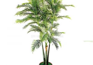 Artificial Palm Trees for Sale Near Me Tcb 02 300cm Artificial Defiled Kwai Palm Artificial Palm Trees