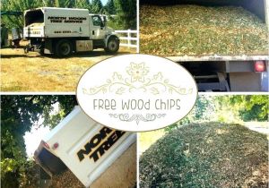 Asplundh Free Wood Chips Review asplundh Free Wood Chips A Story Of Wood