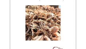 Asplundh Free Wood Chips Review asplundh Free Wood Chips A Story Of Wood