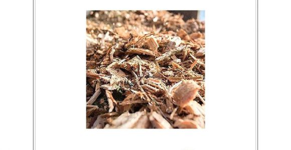 Asplundh Free Wood Chips Review asplundh Free Wood Chips A Story Of Wood