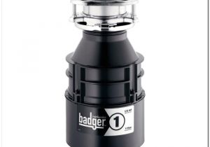 Badger 1 Vs Badger 5 Garbage Disposal Insinkerator Badger 5 Sink and Faucet