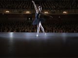 Ballet Barre Height Standard Discover the French origins Of Ballet