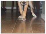 Bamboo Flooring Good for Dogs Bamboo Flooring and Dogs Urine Flooring Home