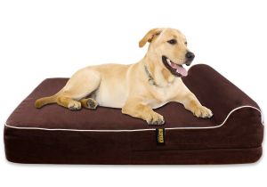Barksbar Gray orthopedic Dog Bed Amazoncom Barksbar Large Gray orthopedic Dog Bed X Dog