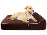 Barksbar Large Gray orthopedic Dog Bed Amazoncom Barksbar Large Gray orthopedic Dog Bed X Dog