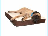 Barksbar orthopedic Dog Bed Medium Admirably Pictures Of Barksbar orthopedic Dog Bed World
