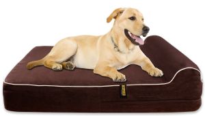 Barksbar orthopedic Dog Bed Small Amazoncom Barksbar Large Gray orthopedic Dog Bed X Dog
