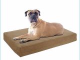 Barksbar Snuggly orthopedic Dog Bed Admirably Pictures Of Barksbar orthopedic Dog Bed World