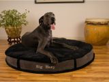 Barksbar Snuggly orthopedic Dog Bed Barksbar Large Gray orthopedic Dog Bed X Inches Snuggly