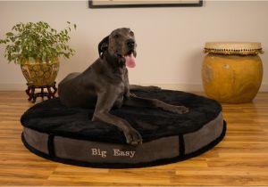 Barksbar Snuggly orthopedic Dog Bed Barksbar Large Gray orthopedic Dog Bed X Inches Snuggly