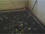 Basement Waterproofing Columbus Ohio Basement Waterproofing Basement Waterproofing In