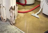 Basement Waterproofing Contractors Rochester Ny 31 Luxury Basement Waterproofing Contractors Image Basement