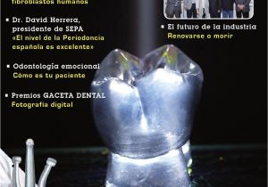Bases De Vidrio Para Centros De Mesa En Guadalajara Gaceta Dental 248 by Peldaa O issuu