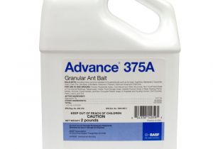 Basf Advance Carpenter Ant Bait Advance 375a Granular Ant Bait 2lb Ant Control Ant Bait