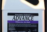 Basf Advance Carpenter Ant Bait Advance Carpenter Ant Bait Pest Control Supplies