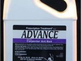 Basf Advance Carpenter Ant Bait Advance Carpenter Ant Bait Pest Control Supplies