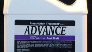 Basf Advance Carpenter Ant Bait Advance Carpenter Ant Bait Pest Control Supplies