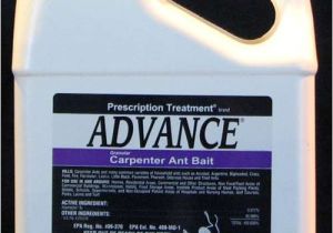 Basf Advance Carpenter Ant Bait Advance Carpenter Ant Bait Pest Control Supplies