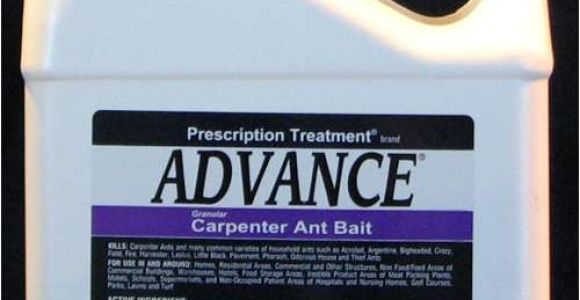 Basf Advance Carpenter Ant Bait Advance Carpenter Ant Bait Pest Control Supplies