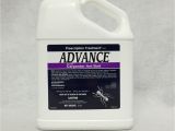 Basf Advance Carpenter Ant Bait Pest Management Advance Granular Carpenter Ant Bait 2