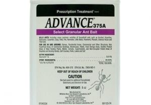 Basf Advance Carpenter Ant Bait which Pests are Diy and which Pests are Not Diy In Depth