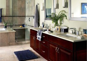 Bathroom Remodel Contractors Springfield Mo Walk In Bathtubs Safety Tubs Springfield Missouri