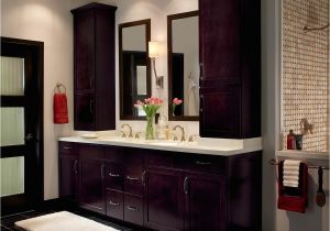 Bathroom Remodel Contractors Springfield Mo Walk In Bathtubs Safety Tubs Springfield Missouri