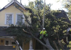 Bay Creek Apartments Hampton Va Phone Number Hampton Roads Power Outages From Michael Could Extend Through the