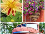 Beat Your Neighbor All Purpose Fertilizer 66 Best Beat Your Neighbor Fertilizer Images On Pinterest