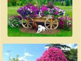 Beat Your Neighbor Fertilizer 1814 Best Garden Hacks Images On Pinterest Plants Balcony and Flower