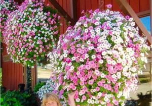 Beat Your Neighbor Fertilizer 49 Best Flowers Images On Pinterest Backyard Ideas Garden Ideas
