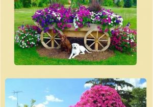 Beat Your Neighbor Fertilizer Amazon 13 Best Gardening and Landscaping Images On Pinterest Garden Ideas