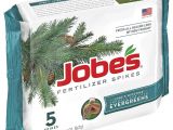 Beat Your Neighbor Fertilizer Amazon Amazon Com Jobe S 02711 Evergreen Tree and Shrub Spikes 160 Case