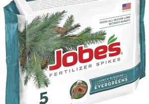 Beat Your Neighbor Fertilizer Amazon Amazon Com Jobe S 02711 Evergreen Tree and Shrub Spikes 160 Case