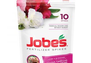 Beat Your Neighbor Fertilizer Amazon Amazon Com Jobe S Fertilizer Spikes for Azalea Camellia and