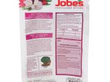 Beat Your Neighbor Fertilizer Amazon Amazon Com Jobe S Fertilizer Spikes for Azalea Camellia and