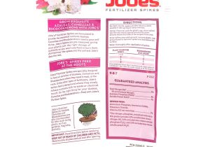 Beat Your Neighbor Fertilizer Amazon Amazon Com Jobe S Fertilizer Spikes for Azalea Camellia and