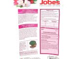 Beat Your Neighbor Fertilizer Amazon Com Jobe S Fertilizer Spikes for Azalea Camellia and